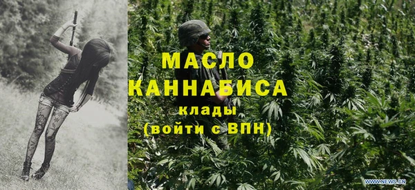 амф Дмитриев