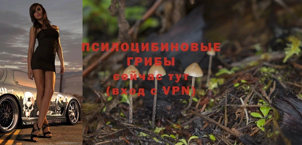 герыч Алзамай