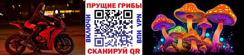 наркошоп Апатиты Псилоцибиновые грибы GOLDEN TEACHER
