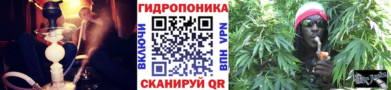 Канабис SATIVA & INDICA  сайты даркнета телеграм  Апатиты  что такое наркотик 